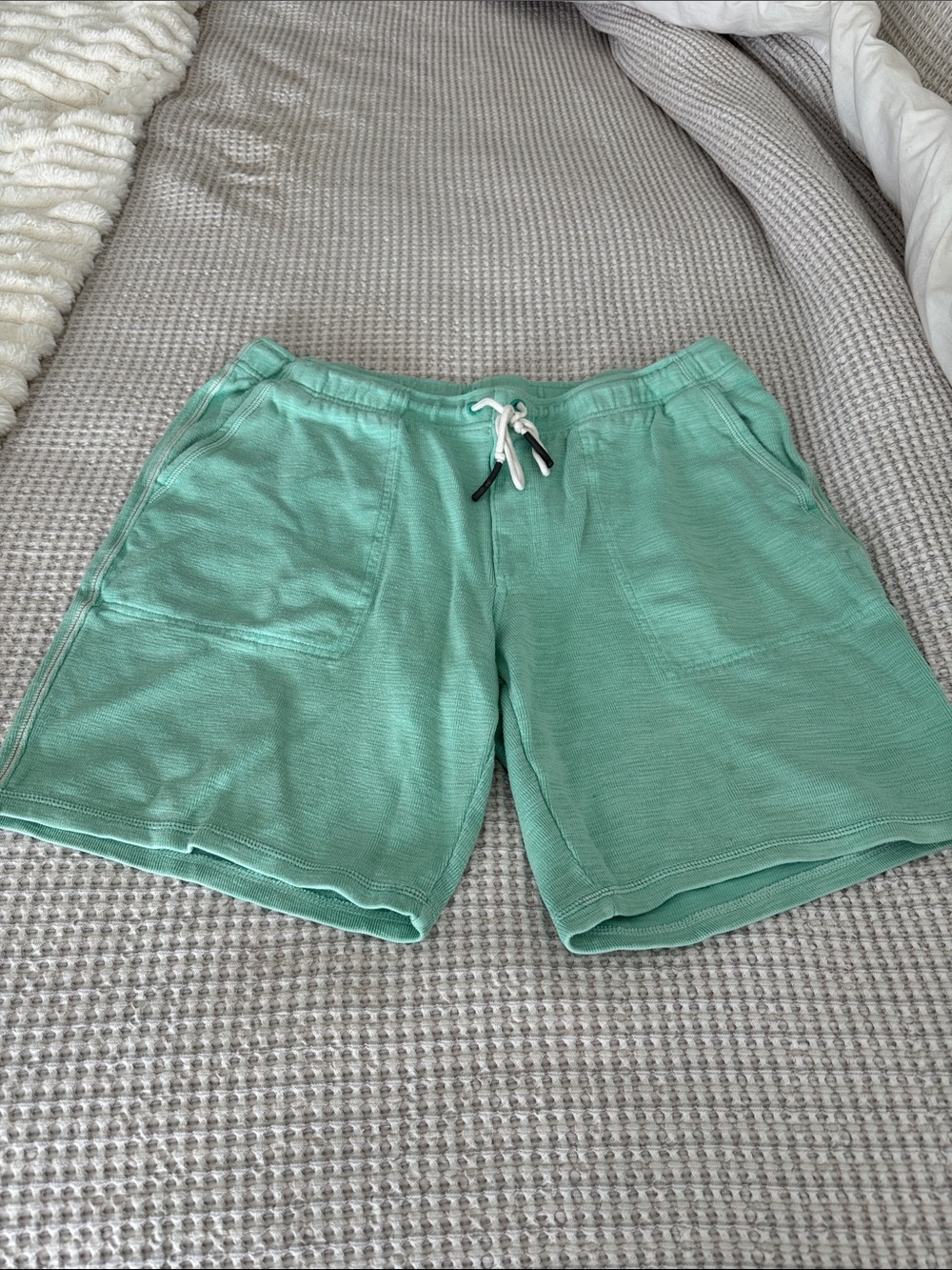 Tommy Bahama Mint Green Drawstring Athletic Shorts